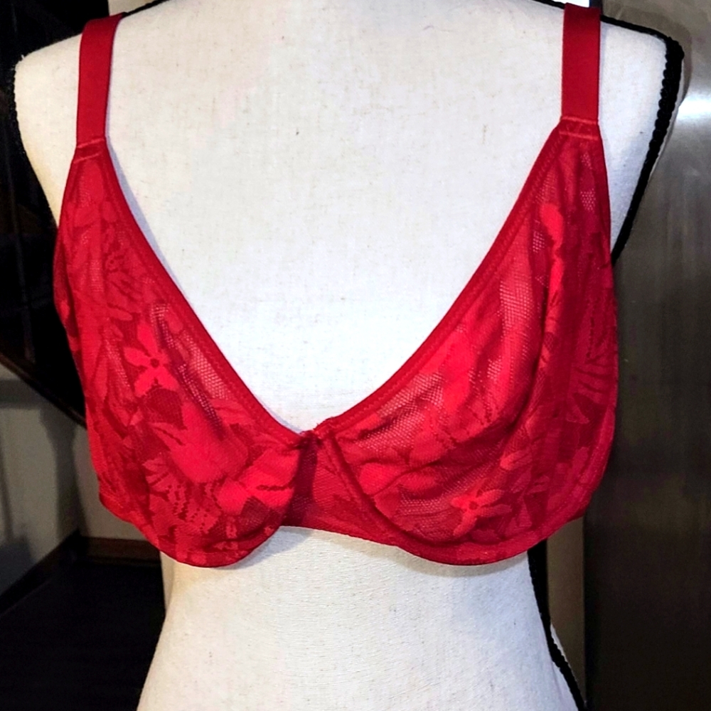 Luvlette Elegant Red Lace Underwire Bra 40E
